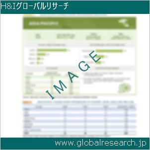 グローバルリサーチ調査レポートのイメージ
